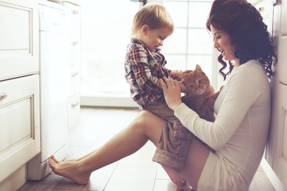 family attorneys helping with your Los Angeles Divorce portrayed by child and mother on the kitchen floor.