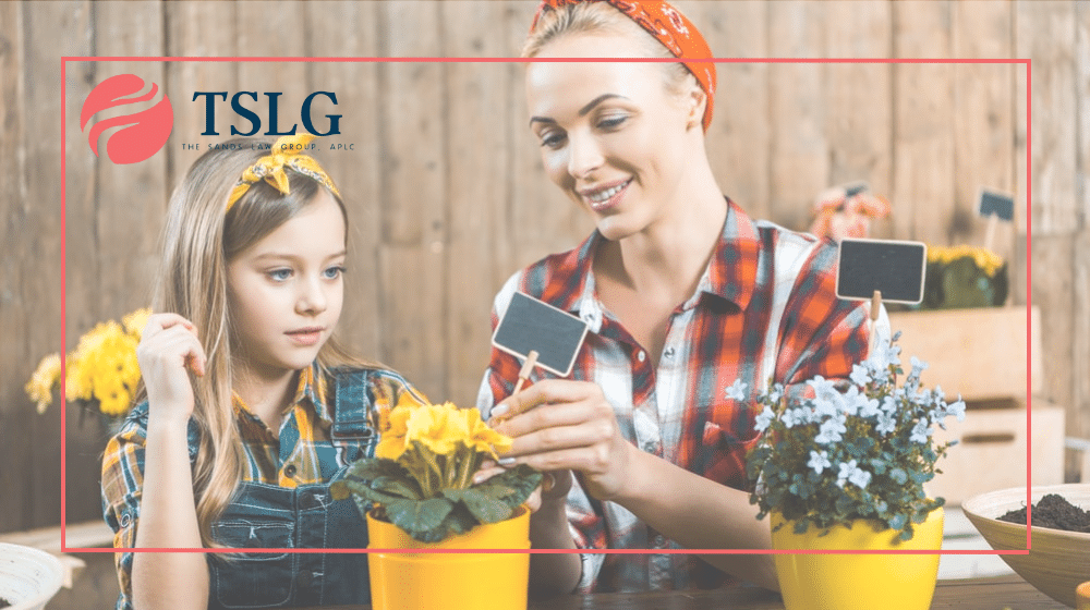 Los Angeles Child Support Attorneys At The Sands Law Group